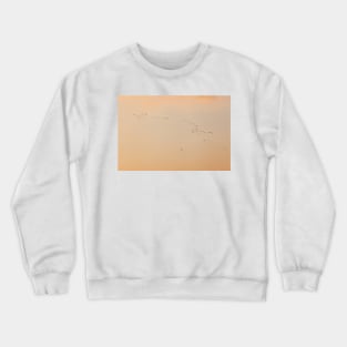 Flock of birds ans plane against orange sky Crewneck Sweatshirt